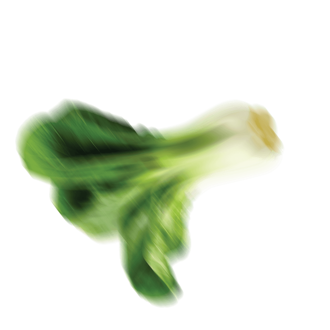 Fresh vegetables