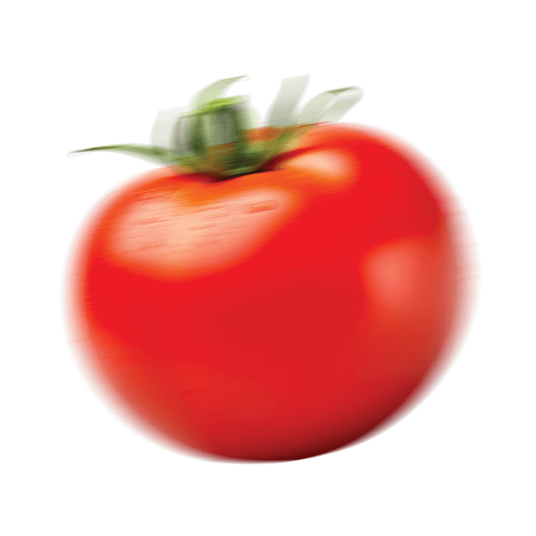 Fresh vegetables